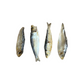 Nova Baltic Sprats, 1kg