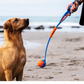 Chuckit Fetch & Fold Ball Launcher, Compact Dog Ball Thrower for Travel & Play