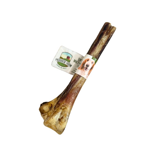 Paddock Farm Ostrich Metatarsus Bone