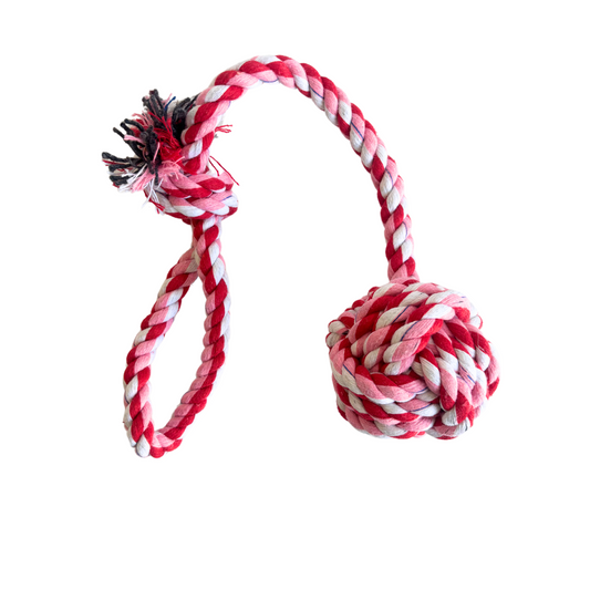 Small Rope Toys For Small Dogs, Various Shapes & Sizes